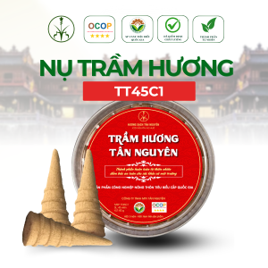 Nụ Trầm Hương Tân Nguyên phổ thông – TT45C1