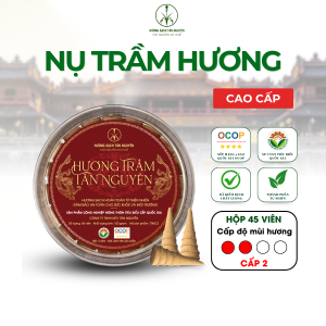 Hương Trầm Nụ Sạch – TT45C2