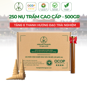 Hương Nụ Trầm Cao Cấp Túi 0.5Kg – TT45C2(0.5K)