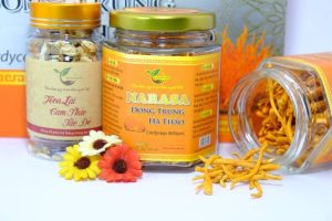 Đông Trùng Hạ Thảo Narasa