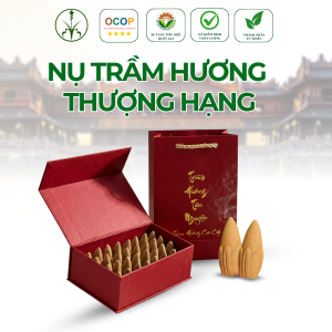 Nụ trầm hương thượng hạng - TX32T