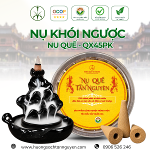 NỤ QUẾ KHÓI NGƯỢC 45 VIÊN -  QX45PK