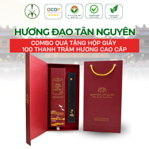 COMBO HƯƠNG ĐẠO CAO CẤP - H100DB